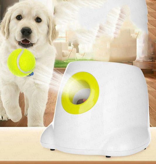 Automatic Pet Ball Launcher