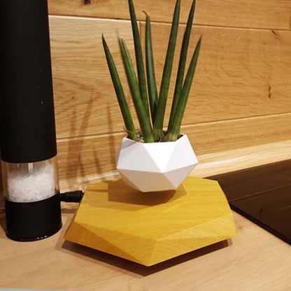 Floating Magnetic Levitating Flowerpot Bonsai Air Plant Pot Planter Potted for Home Office Desk Decor Creative Gift