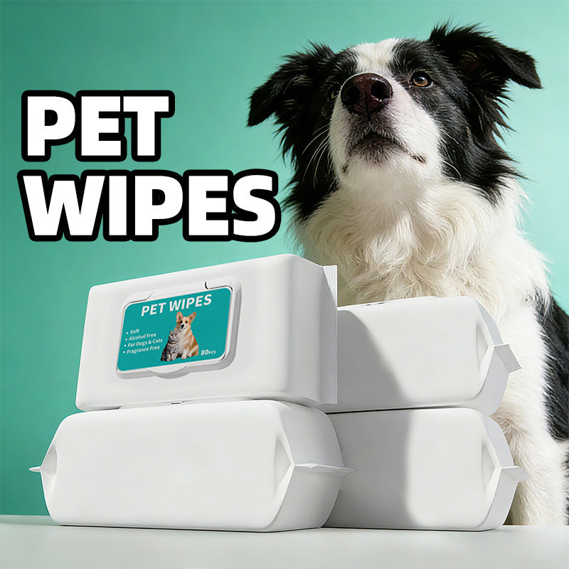 Pet Supplies Pet Wipes 80 Dogs And Cats Special Wipes Disposable Wash-free Cleaning