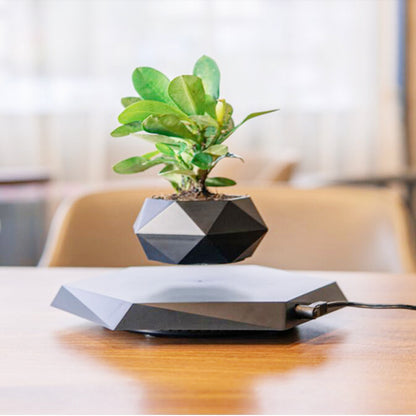 Floating Magnetic Levitating Flowerpot Bonsai Air Plant Pot Planter Potted for Home Office Desk Decor Creative Gift