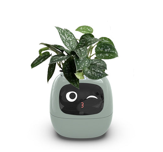 Smart Ai Plants